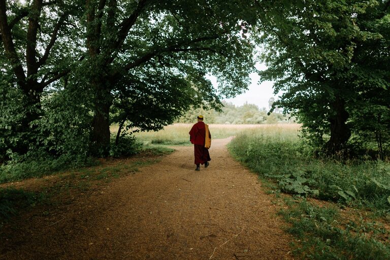 Beginner Guide to Mindful Walking